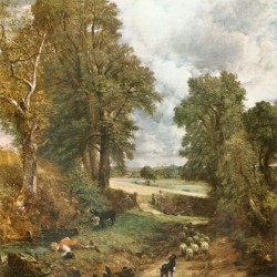 A heard of sheep through the woods